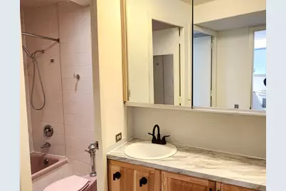 300 N State Street #3128, Chicago, IL 60654 - Photo 9