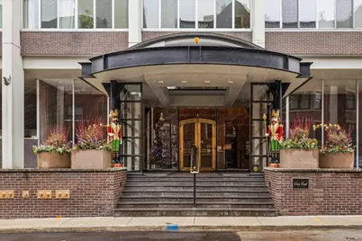 1 E Schiller Street #22A, Chicago, IL 60610 - Photo 1