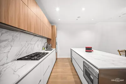 204 N Park Drive, Chicago, IL 60601 - Photo 11