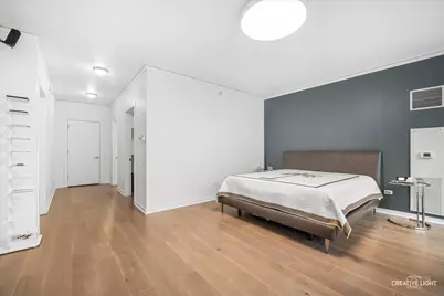 204 N Park Drive, Chicago, IL 60601 - Photo 15