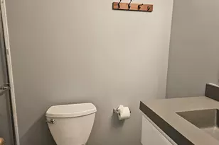 1241 Bradwell Ln, Mundelein, IL 60060 - Photo 15