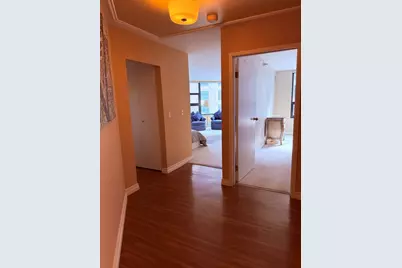 401 E Ontario Street #3010, Chicago, IL 60611 - Photo 7