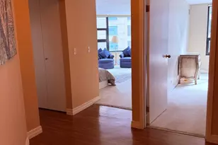 401 E Ontario St, Chicago, IL 60611 - Photo 7