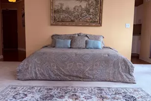 401 E Ontario St, Chicago, IL 60611 - Photo 15