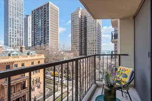 1450 N Astor St, Chicago, IL 60610 - Photo 21