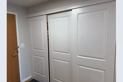 345 N La Salle Drive #802, Chicago, IL 60654 - Photo 13