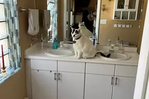 1018 E Oak Ave, La Grange Park, IL 60526 - Photo 7