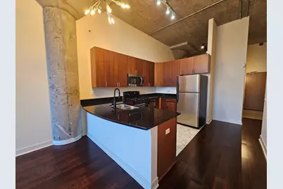320 E 21st Street #404, Chicago, IL 60616 - Photo 7