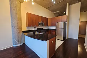 320 E 21st St, Chicago, IL 60616 - Photo 7