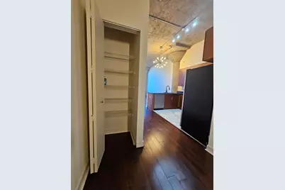 320 E 21st Street #404, Chicago, IL 60616 - Photo 9