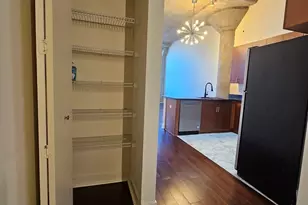 320 E 21st St, Chicago, IL 60616 - Photo 9