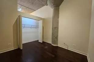 320 E 21st St, Chicago, IL 60616 - Photo 11