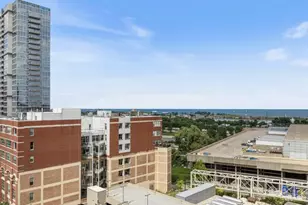 320 E 21st St, Chicago, IL 60616 - Photo 23