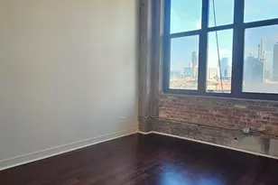 320 E 21st St, Chicago, IL 60616 - Photo 15