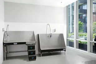 14 W Superior St, Chicago, IL 60654 - Photo 31