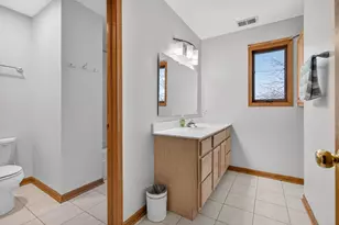 16319 Evergreen Dr, Tinley Park, IL 60477 - Photo 21