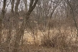 21177 N Valley Rd, Kildeer, IL 60047 - Photo 1