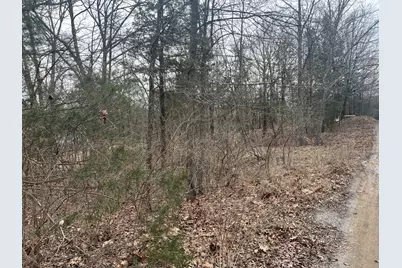 Lot 14 Jill Lane, Orangeville, IL 62939 - Photo 5