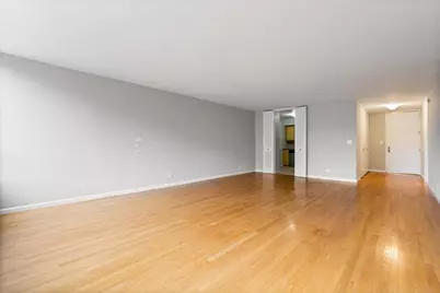 201 E Chestnut Street #19E, Chicago, IL 60611 - Photo 9