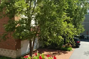 1853 Prairie St, Glenview, IL 60025 - Photo 37