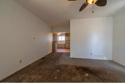 502 E Brayton Road, Mount Morris, IL 61054 - Photo 9