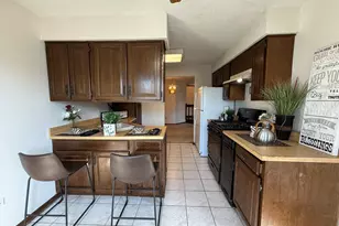 15726 Orlan Brook Dr, Orland Park, IL 60462 - Photo 13