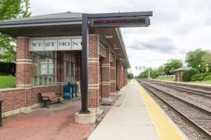 115 S Wilmette Ave, Westmont, IL 60559 - Photo 47