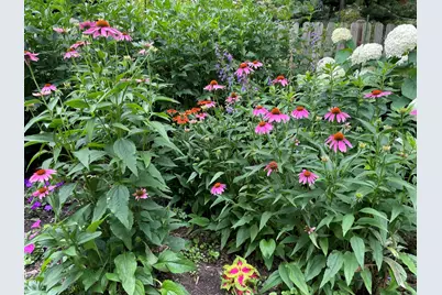 336 Hamilton Avenue, Elgin, IL 60123 - Photo 35