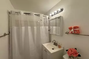 7337 S South Shore Dr, Chicago, IL 60649 - Photo 5