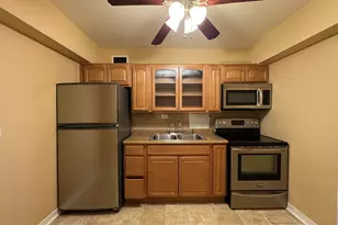 7337 S South Shore Dr, Chicago, IL 60649 - Photo 3