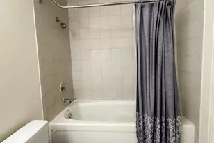 833 W 15th Pl, Chicago, IL 60608 - Photo 11