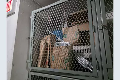 4800 S Chicago Beach Drive #810S, Chicago, IL 60615 - Photo 29