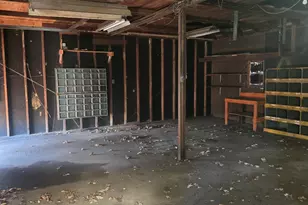 201 W 2nd St, Leaf River, IL 61047 - Photo 5