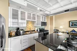 1307 S Wabash St, Chicago, IL 60605 - Photo 13
