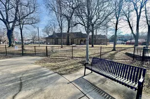 1039 W 103rd St, Chicago, IL 60643 - Photo 39