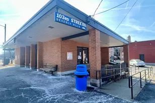 1039 W 103rd St, Chicago, IL 60643 - Photo 41