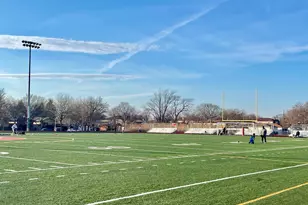 1039 W 103rd St, Chicago, IL 60643 - Photo 63