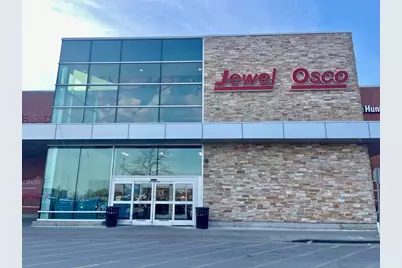 1039 W 103rd Street, Chicago, IL 60643 - Photo 59