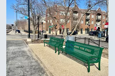 1039 W 103rd Street, Chicago, IL 60643 - Photo 43