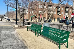 1039 W 103rd St, Chicago, IL 60643 - Photo 43