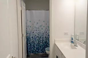 1619 Emma Ln, Pingree Grove, IL 60140 - Photo 19