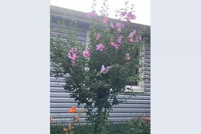 10N836 Maple Street, Elgin, IL 60123 - Photo 35