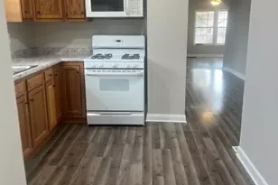 207 Davis St, Joliet, IL 60436 - Photo 13