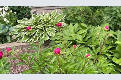 2713 Forest Glen Parkway, Woodridge, IL 60517 - Photo 31