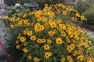 2713 Forest Glen Pkwy, Woodridge, IL 60517 - Photo 33