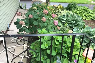 2713 Forest Glen Pkwy, Woodridge, IL 60517 - Photo 29