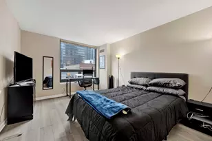 440 N Wabash Ave, Chicago, IL 60611 - Photo 11