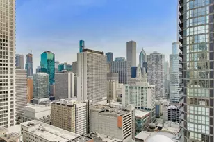 2 E Erie St, Chicago, IL 60611 - Photo 5