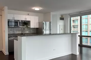 2 E Erie St, Chicago, IL 60611 - Photo 11