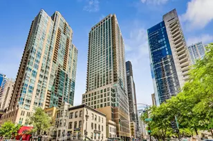 2 E Erie St, Chicago, IL 60611 - Photo 55